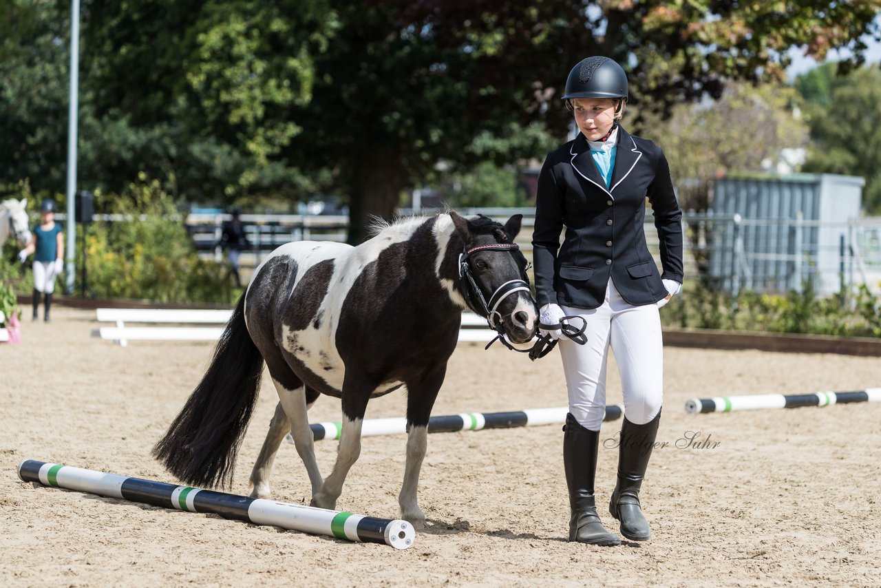 Bild 6 - Pony Akademie Turnier